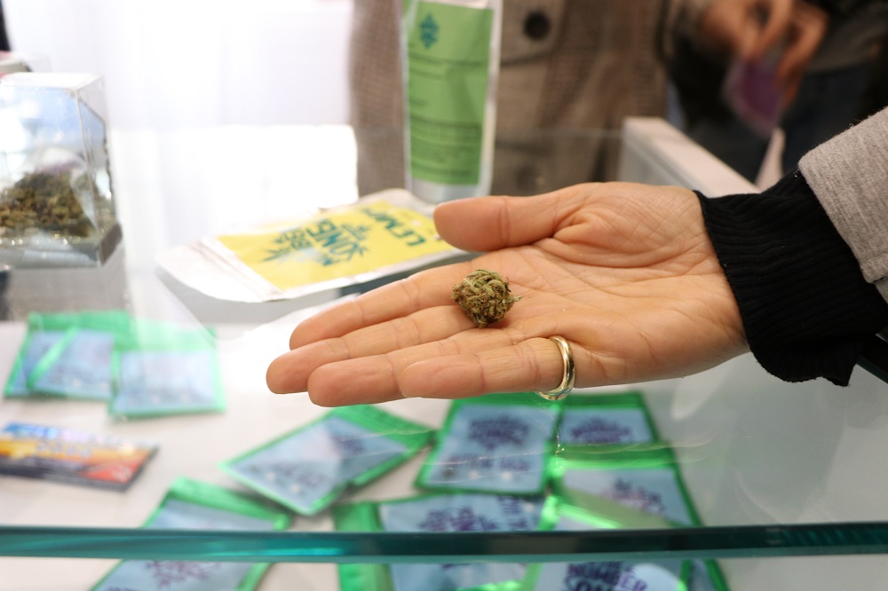 vendita marijuana legale in italia
