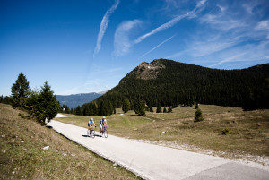 Trento