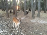 Orto Botanico, La Cutura, Salento