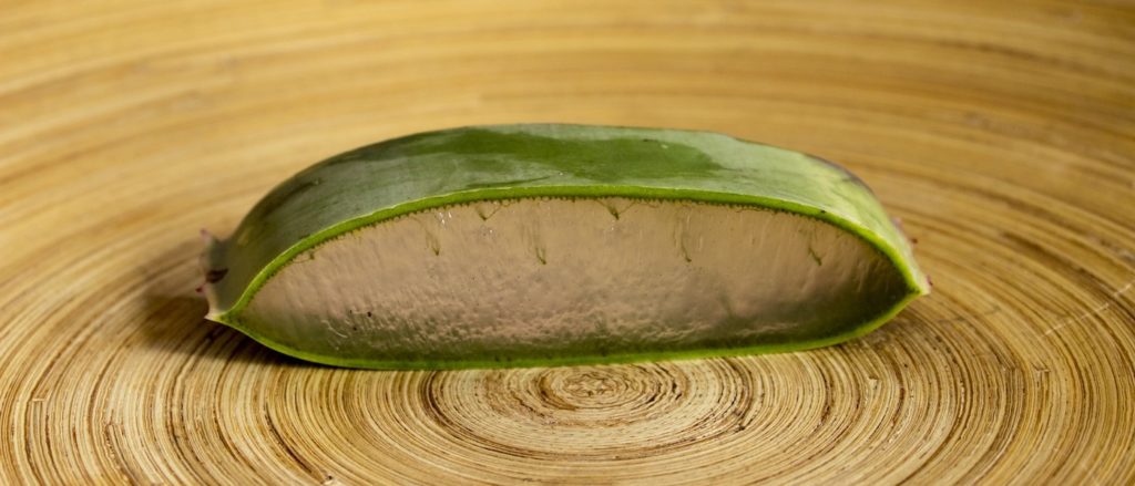 gel di aloe vera