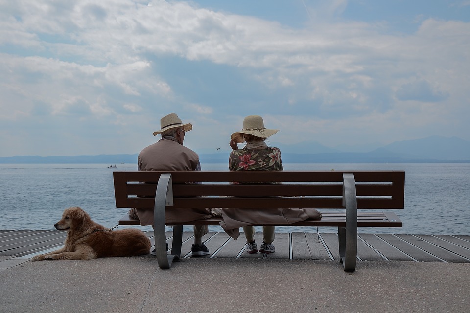 cane in vacanza