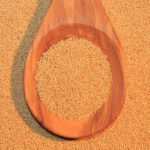 semi-di-amaranto
