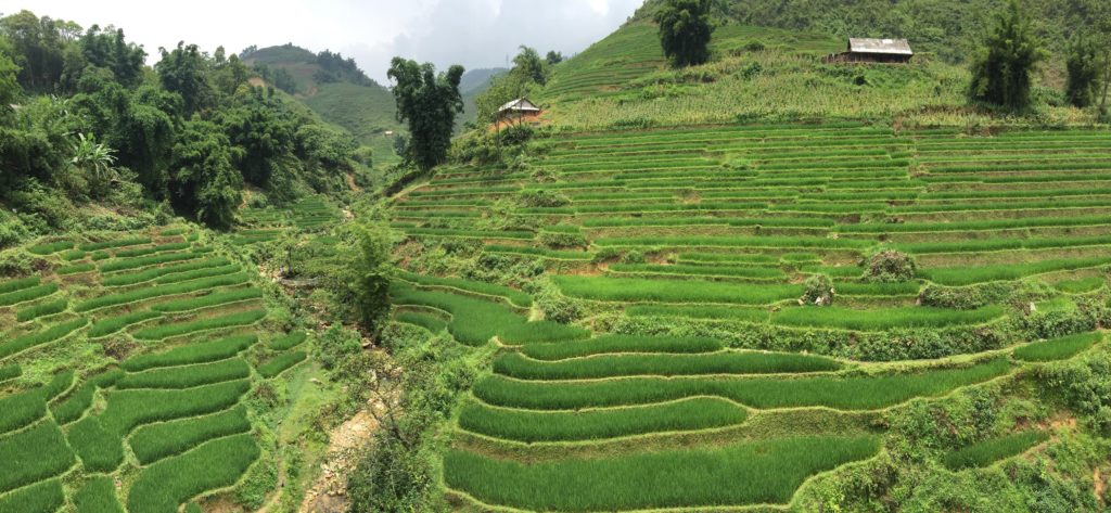 Sapa Vietnam