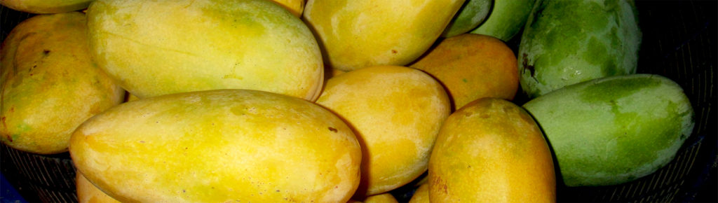 mango giallo