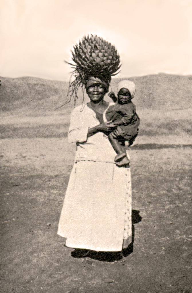 cappelli di Aloe Lesoto