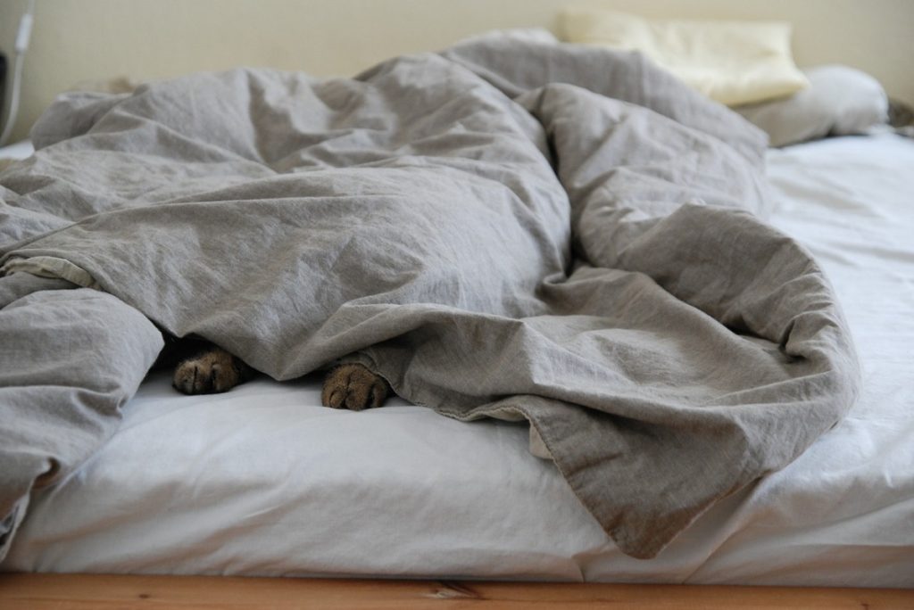 letto piumino d'oca