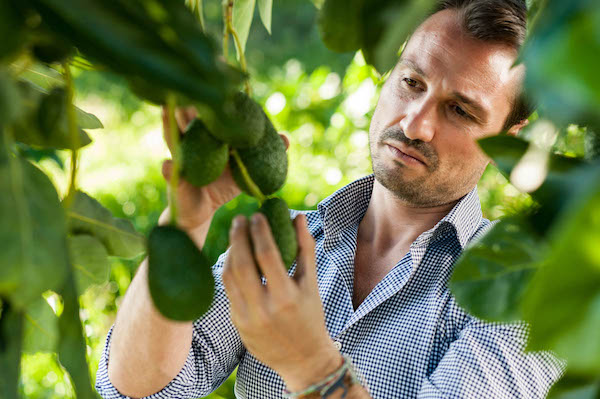 Andrea Passanisi con avocado