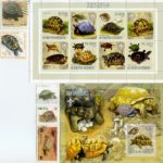 stamps and turtles