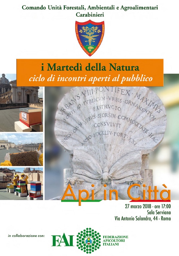 api in città
