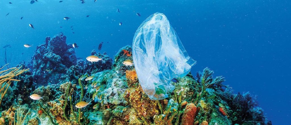 vivere senza plastica. Oceani di plastica
