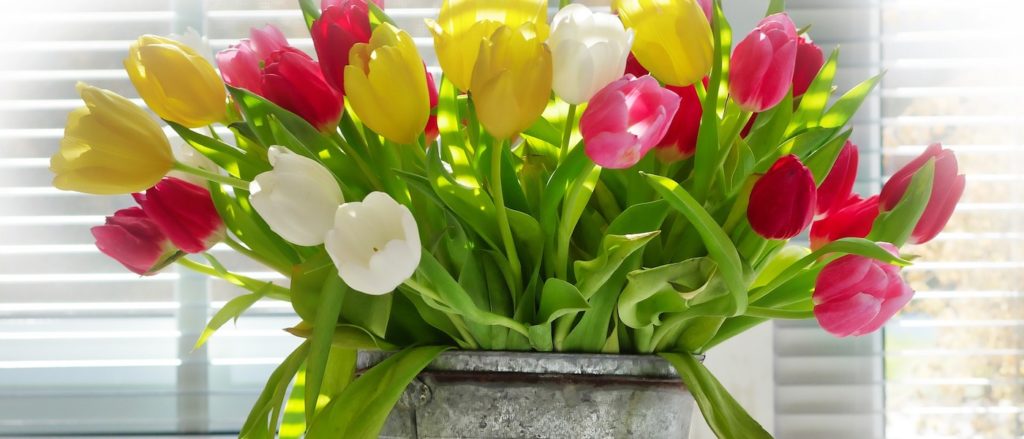 fiori in vaso