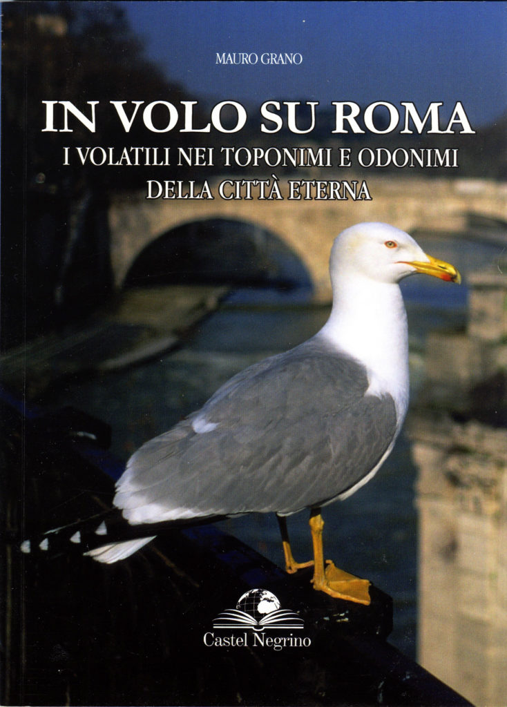 In volo su Roma, i volatili nei toponimi e odonimi della città eterna