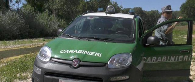 auto carabinieri forestali