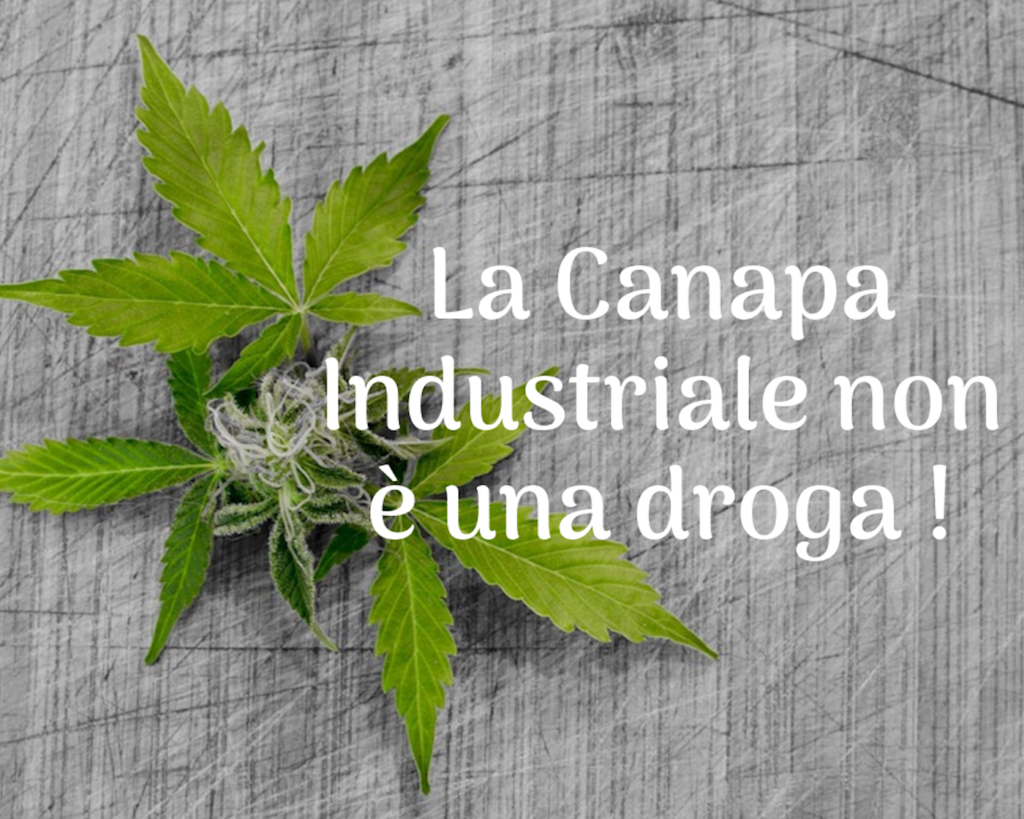 cannabis light