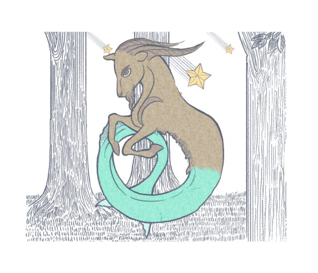 capricorno, segno zodiacale
