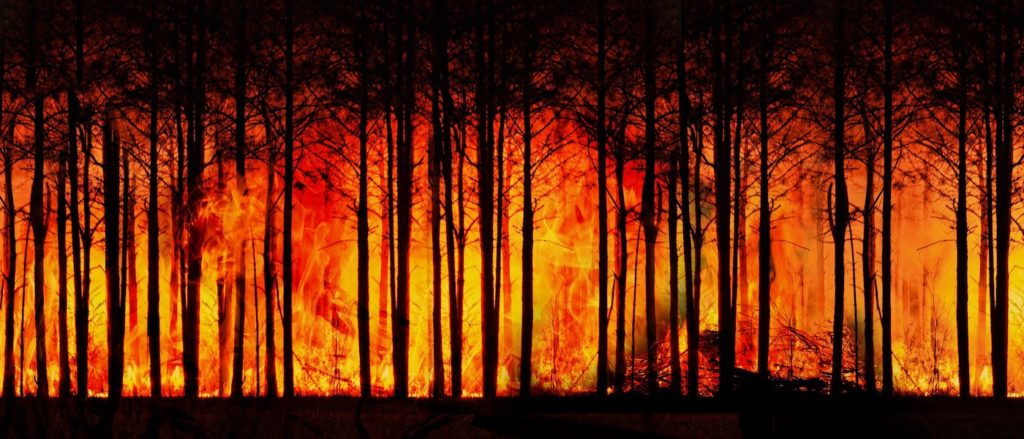 Incendio in Amazzonia