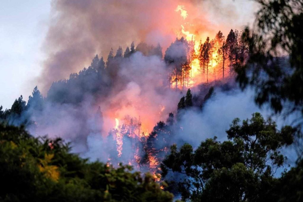 Gran Canaria incendio