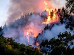 Gran Canaria incendio