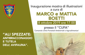 Ali spezzate: antibracconaggio e tutela dell’avifauna Ali spezzate: antibracconaggio e tutela dell'avifauna