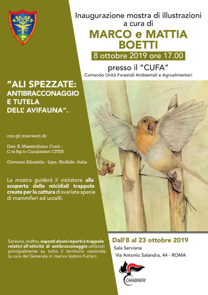 Ali spezzate: antibracconaggio e tutela dell'avifauna