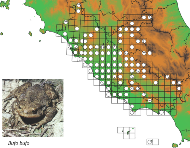 Societas Herpetologica Italica
