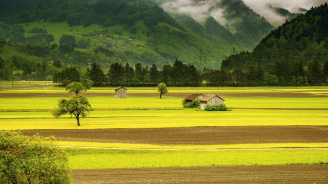 borse di studio sul paesaggio