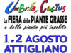 Umbria e Cactus