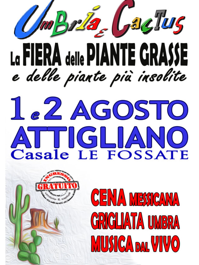 Umbria e Cactus